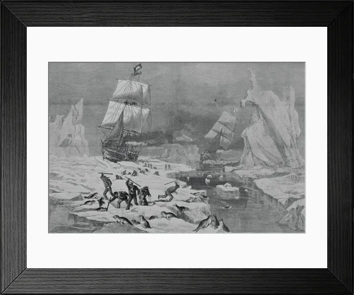 Framed Print : Men Slaughtering Seals Framed Print : Men Slaughtering Seals