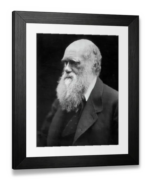 Framed Print : Portrait of Charles Darwin Framed Print : Portrait of Charles Darwin