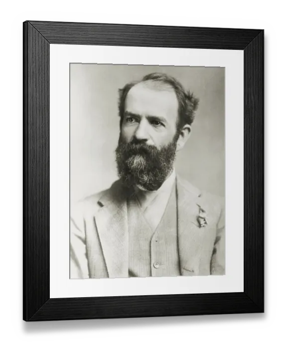 Framed Print : Railroad Executive Jay Gould