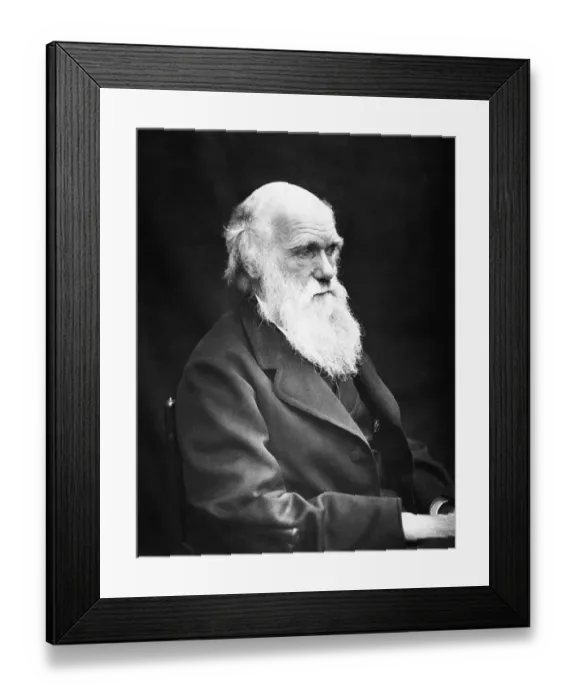 Framed Print : Charles Darwin Framed Print : Charles Darwin