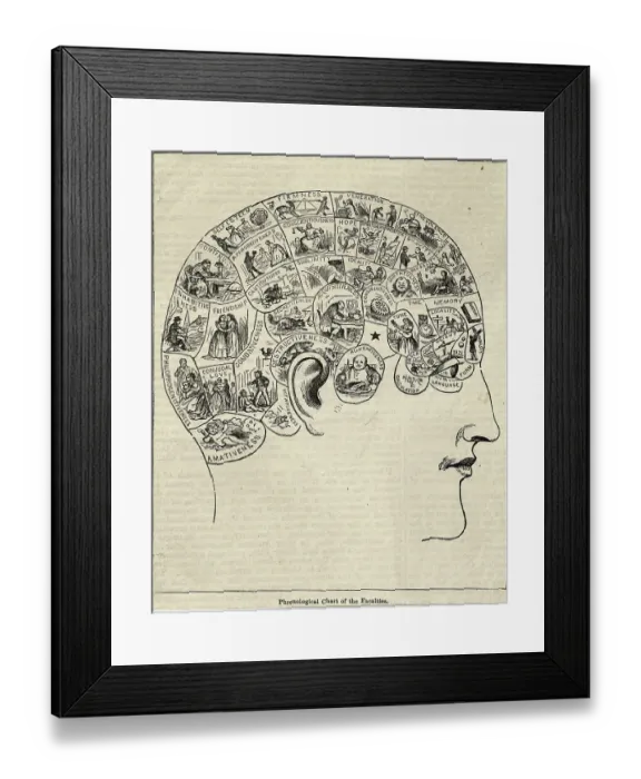 Framed Print : Phrenological Chart Showing Mental Functions Framed Print : Phrenological Chart Showing Mental Functions