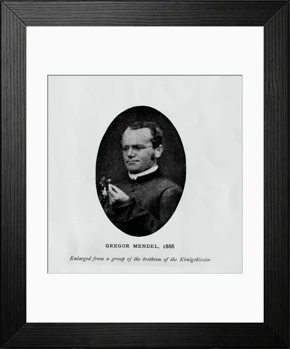Framed Print : Austrian Botanist Gregor Mendel Framed Print : Austrian Botanist Gregor Mendel
