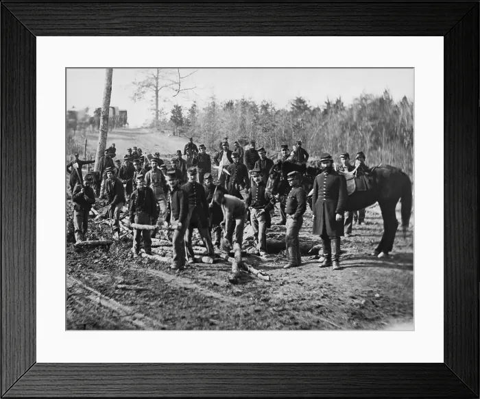 Framed Print : Engineer Corps Making Corduroy Roads Framed Print : Engineer Corps Making Corduroy Roads