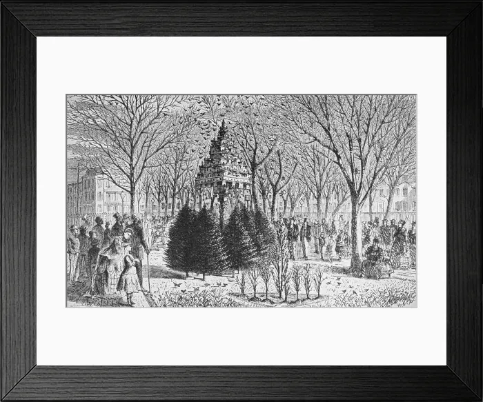 Framed Print : People Gathering Around Bird Houses at Madison Park Framed Print : People Gathering Around Bird Houses at Madison Park