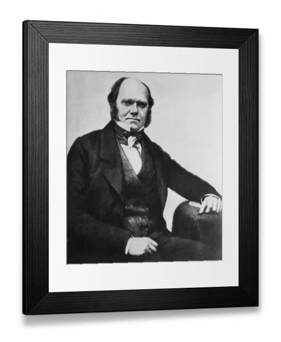 Framed Print : Charles Darwin Framed Print : Charles Darwin
