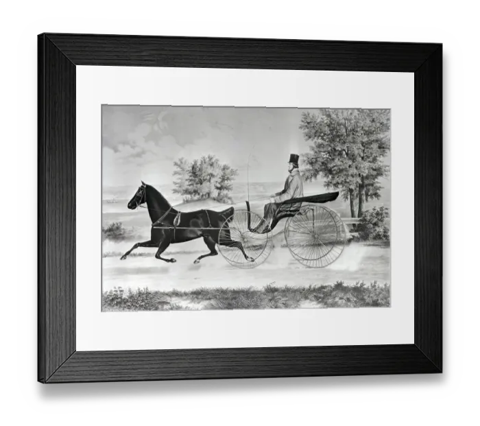 Framed Print : Man Driving Horse And Buggy In Summer Framed Print : Man Driving Horse And Buggy In Summer
