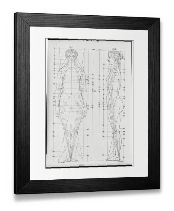 Framed Print : Line Drawing of the Female Figure Framed Print : Line Drawing of the Female Figure
