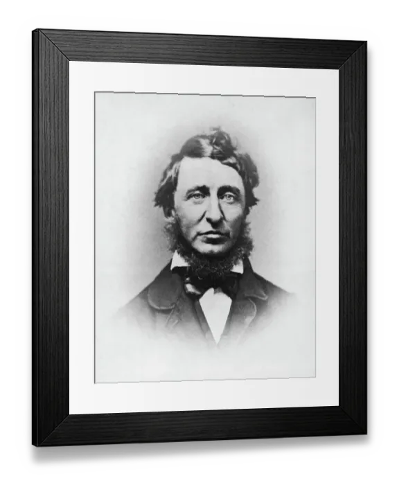 Framed Print : Author Henry David Thoreau Framed Print : Author Henry David Thoreau
