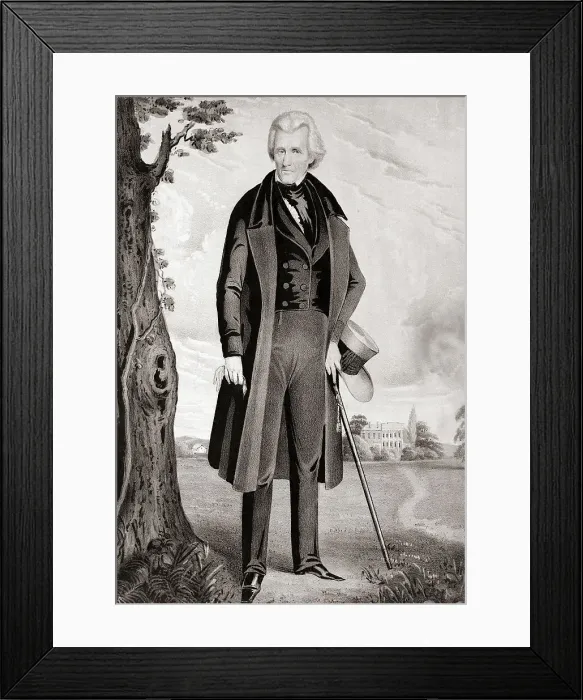 Framed Print : Portrait of Andrew Jackson in Retirement Framed Print : Portrait of Andrew Jackson in Retirement