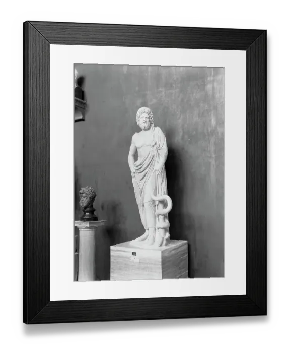 Framed Print : Display of Aesculapius Statue Framed Print : Display of Aesculapius Statue