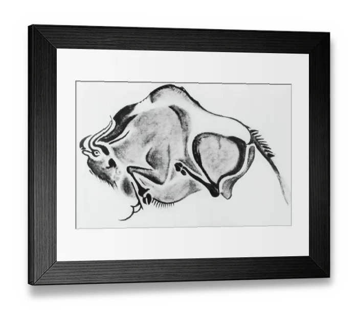 Framed Print : Prehistoric Drawing of a Bison Framed Print : Prehistoric Drawing of a Bison