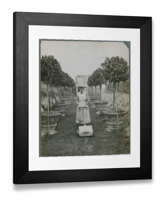 Framed Print : Women Mowing Lawn Framed Print : Women Mowing Lawn