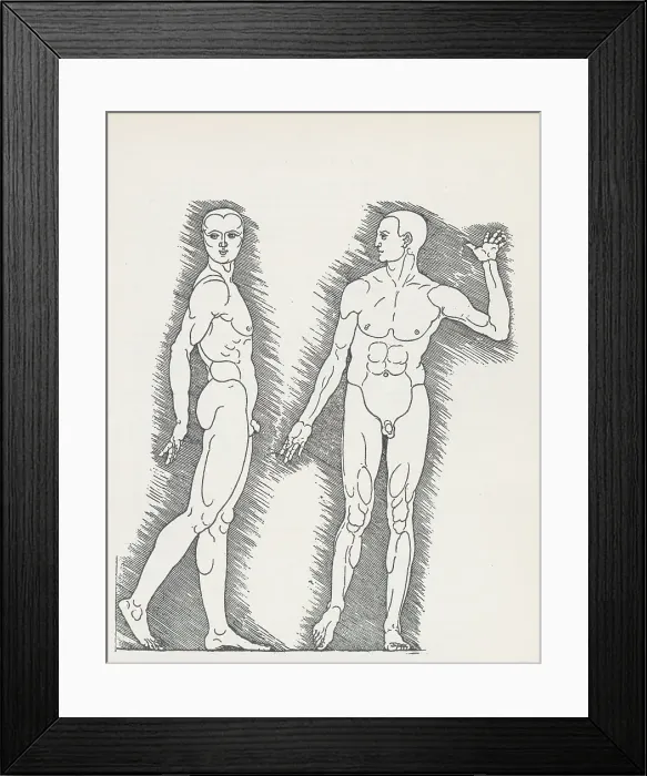 Framed Print : Diagram Showing Male Human Body Proportions Framed Print : Diagram Showing Male Human Body Proportions