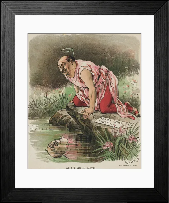 Framed Print : Cartoon on President Grover Cleveland Gazing into Pond Framed Print : Cartoon on President Grover Cleveland Gazing into Pond