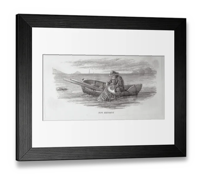 Framed Print : Fisherman Pulling in a Lobster Trap Framed Print : Fisherman Pulling in a Lobster Trap