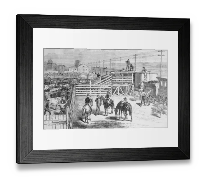 Framed Print : Herders Gathering Cattle for Shipment on Train Framed Print : Herders Gathering Cattle for Shipment on Train