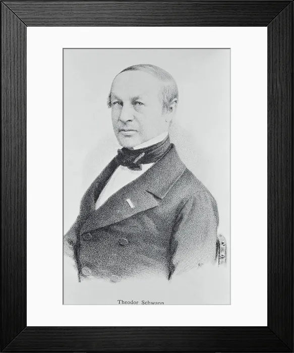 Framed Print : Portrait of Theodor Schwann Framed Print : Portrait of Theodor Schwann