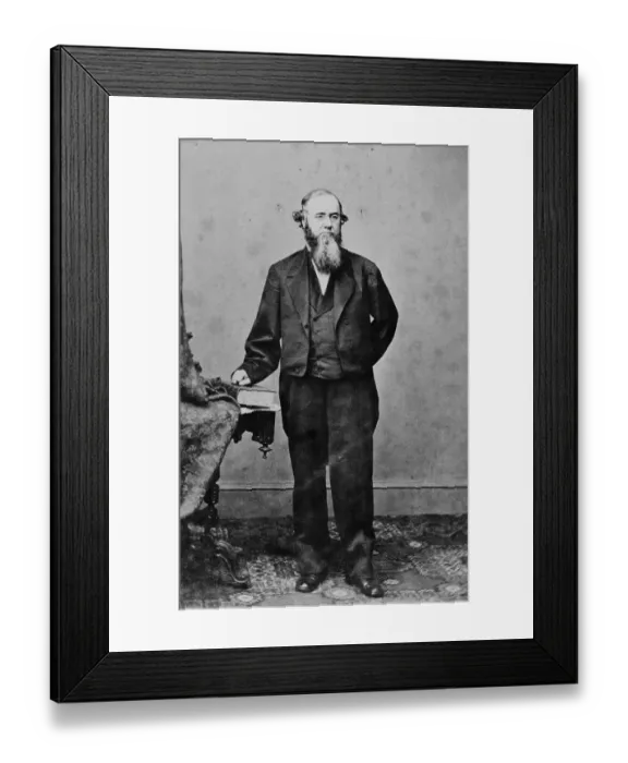Framed Print : Portrait of Public Leader Edwin Stanton Framed Print : Portrait of Public Leader Edwin Stanton