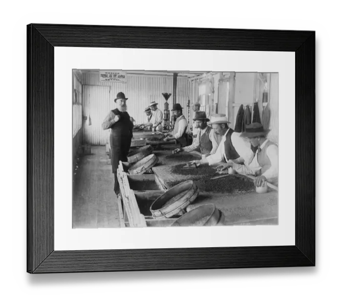 Framed Print : Miners Sorting Diamonds from Gravel Framed Print : Miners Sorting Diamonds from Gravel