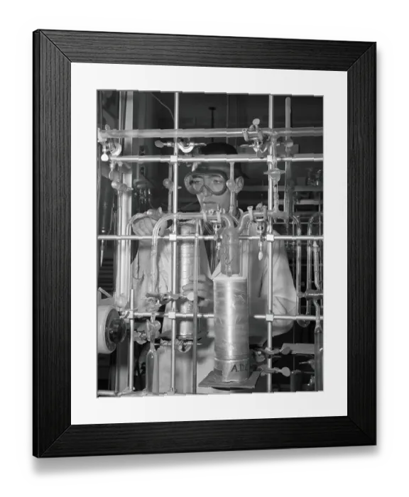 Framed Print : Male student in chemistry laboratory performing high vacuum distillation at low temperature, University of Pennsylvania Framed Print : Male student in chemistry laboratory performing high vacuum distillation at low temperature, University of Pennsylvania