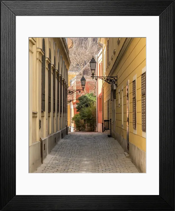 Framed Print : Budapest Castle District street Framed Print : Budapest Castle District street