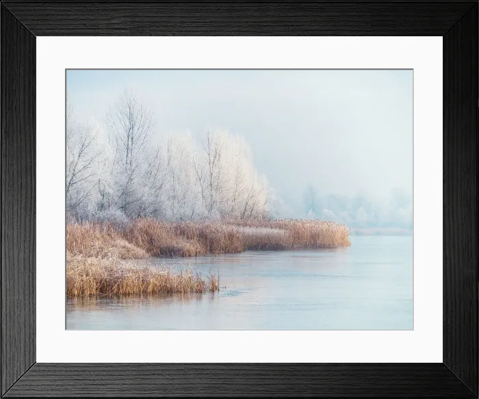 Framed Print : Winter landscape of the frozen pond and rime ice on the trees Framed Print : Winter landscape of the frozen pond and rime ice on the trees