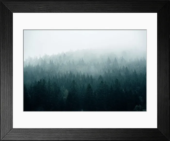 Framed Print : Foggy day in the forest