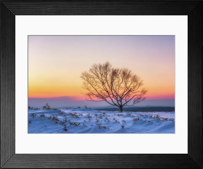 Framed Print : Winter Landscape in Hokkaido, Japan Framed Print : Winter Landscape in Hokkaido, Japan
