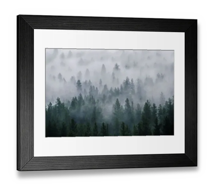 Framed Print : Forest fog Framed Print : Forest fog