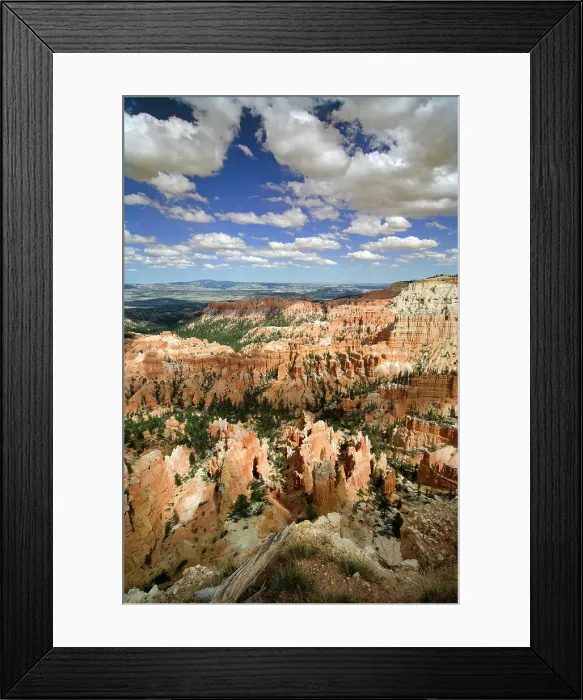 Framed Print : Bryce Canyon National Park Framed Print : Bryce Canyon National Park