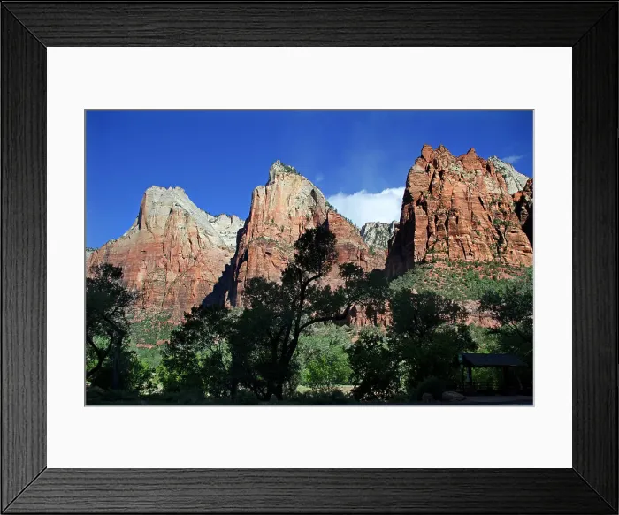 Framed Print : Zion National Park Framed Print : Zion National Park