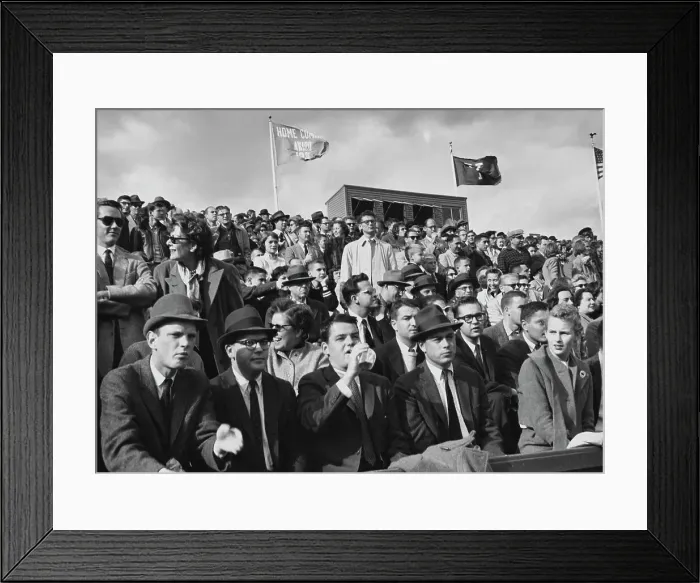 Framed Print : Stadium Crowd