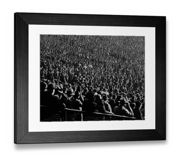 Framed Print : Stadium Crowd Framed Print : Stadium Crowd