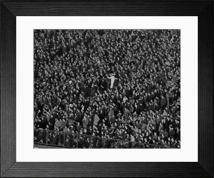 Framed Print : Stadium Crowd Framed Print : Stadium Crowd