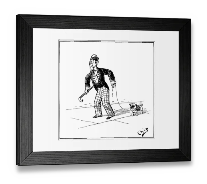 Framed Print : Man walking a pug dog Framed Print : Man walking a pug dog