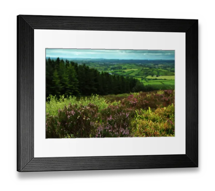 Framed Print : View from the top of Loughanleagh mountain Framed Print : View from the top of Loughanleagh mountain