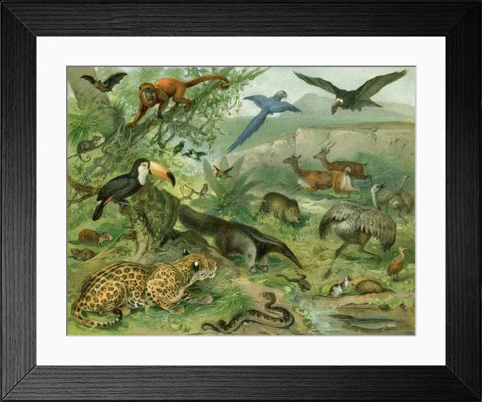 Framed Print : Tropical forest with animals illustration Framed Print : Tropical forest with animals illustration