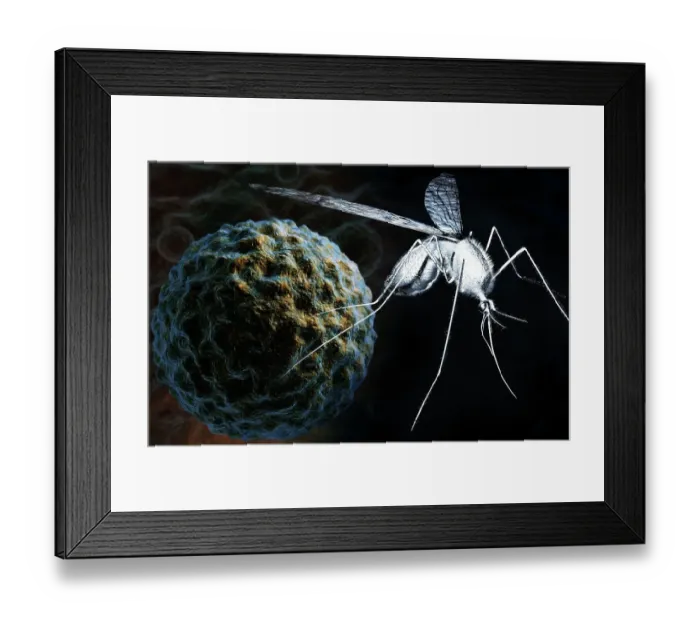 Framed Print : The west nile virus Framed Print : The west nile virus