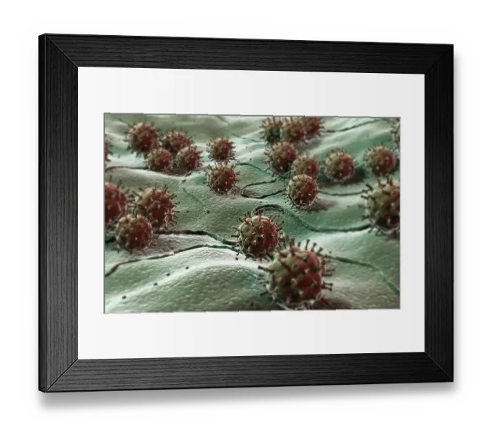 Framed Print : Virus. above view, colour, enveloped virus, flu virus
