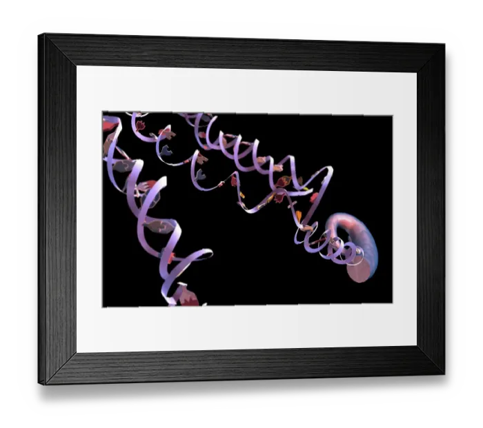 Framed Print : DNA structure Framed Print : DNA structure