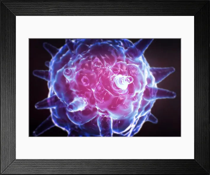Framed Print : Herpes virus Framed Print : Herpes virus
