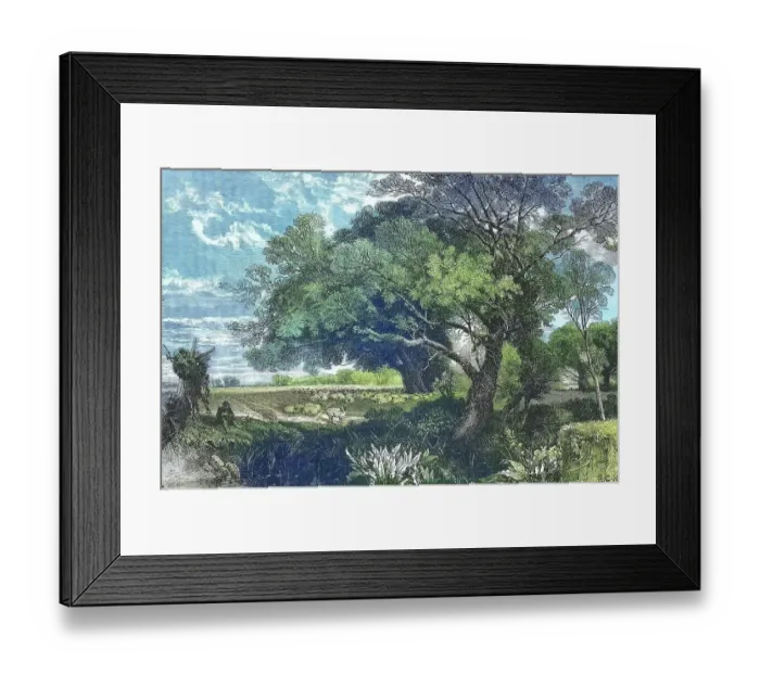 Framed Print : The Poitou countryside in western France, in the month of May, with old trees and a flock of sheep, 1869, France, Historic, digitally restored reproduction of an original 19th century painting, exact original date not known Framed Print : The Poitou countryside in western France, in the month of May, with old trees and a flock of sheep, 1869, France, Historic, digitally restored reproduction of an original 19th century painting, exact original date not known