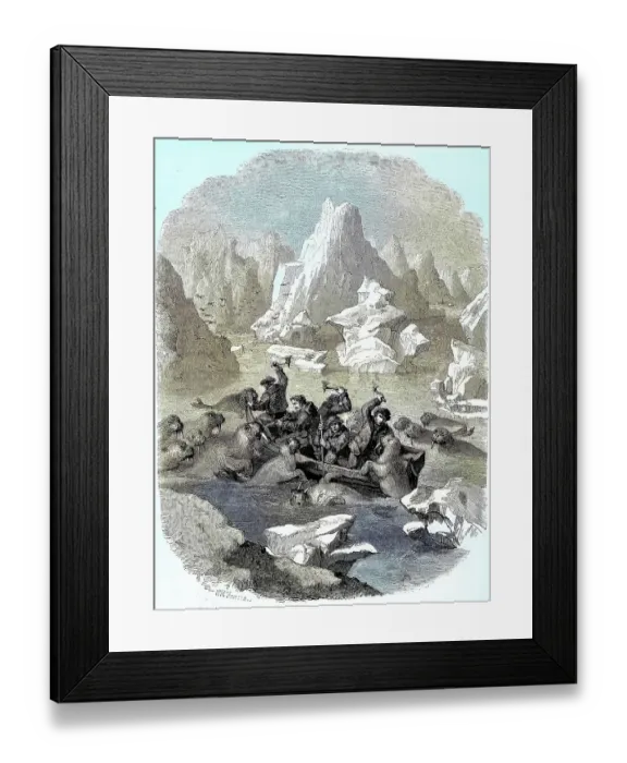 Framed Print : Boat being attacked by walruses, 1880, Greenland, Historic, digitally retouched reproduction of a 19th century original