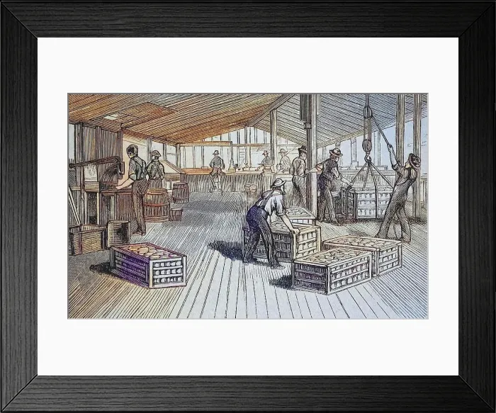 Framed Print : Canning factory of Thurber & Co in Moorestown, around 1880, New Jersey, USA, here the loading of crates with tins, Historic, digitally restored reproduction of a 19th century original Framed Print : Canning factory of Thurber & Co in Moorestown, around 1880, New Jersey, USA, here the loading of crates with tins, Historic, digitally restored reproduction of a 19th century original