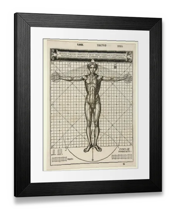 Framed Print : Medicine, Anatomy, the human body in its proportions, by Cesare Cesariano, Italy, un 1480, Historical, digitally restored reproduction from a 19th century original Framed Print : Medicine, Anatomy, the human body in its proportions, by Cesare Cesariano, Italy, un 1480, Historical, digitally restored reproduction from a 19th century original