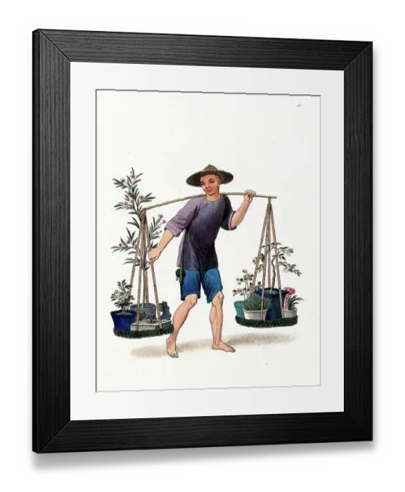 Framed Print : A Chinese Street Vendor Selling Plants and Flowers, c. 1810, China, Historic, digitally restored reproduction from a 19th century original