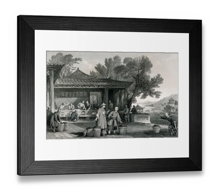 Framed Print : A Chinese Tea Plantation with Workers Carrying and Roasting the Tea, 1810, China, Historic, Digitally restored reproduction from a 19th century original Framed Print : A Chinese Tea Plantation with Workers Carrying and Roasting the Tea, 1810, China, Historic, Digitally restored reproduction from a 19th century original