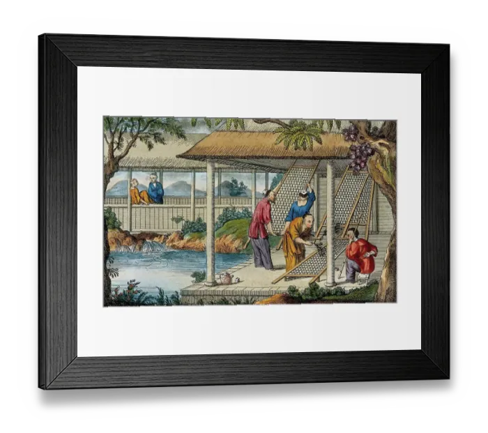 Framed Print : A Chinese tea plantation with workers cleaning the racks on which the leaves are placed to dry, 1810, China, Historic, digitally restored reproduction from a 19th century original Framed Print : A Chinese tea plantation with workers cleaning the racks on which the leaves are placed to dry, 1810, China, Historic, digitally restored reproduction from a 19th century original
