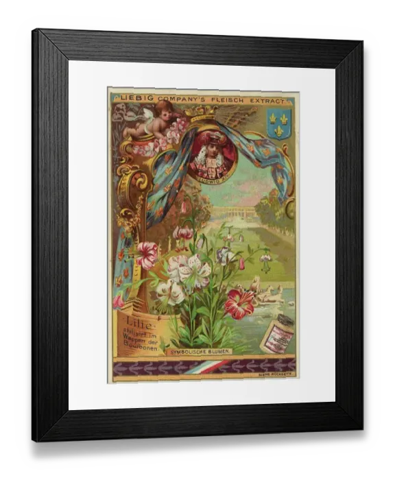 Framed Print : Lily, Louis XIV, France, coat of arms of the Bourbons, digitally restored reproduction of a public domain collector's picture from ca 1900, Liebig picture series Symbolic Flowers (1893) Framed Print : Lily, Louis XIV, France, coat of arms of the Bourbons, digitally restored reproduction of a public domain collector's picture from ca 1900, Liebig picture series Symbolic Flowers (1893)