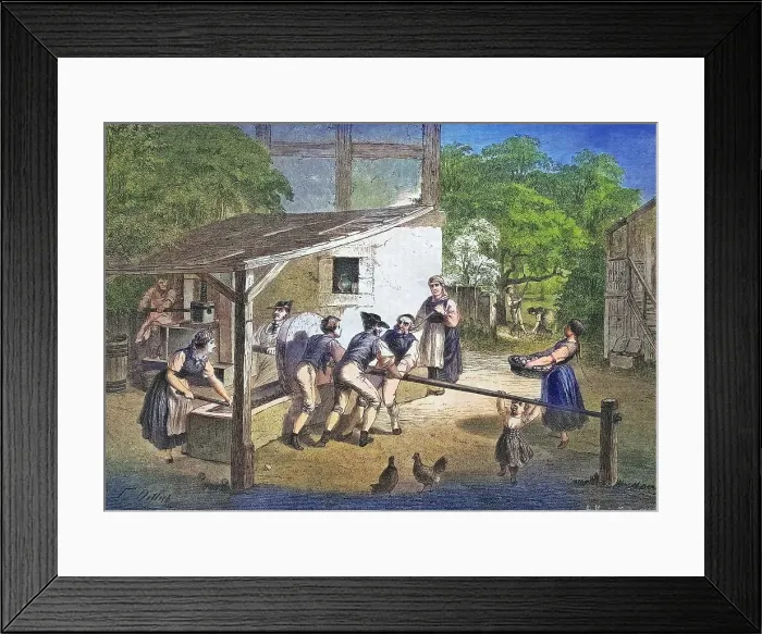 Framed Print : Pressing cider in Swabia, Germany, historical engraving, 1869, Historic, digitally restored reproduction from a 19th century original, coloured, exact date unknown Framed Print : Pressing cider in Swabia, Germany, historical engraving, 1869, Historic, digitally restored reproduction from a 19th century original, coloured, exact date unknown